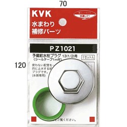 pz1021_img1.jpg