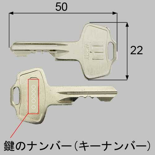 qdm118.jpg