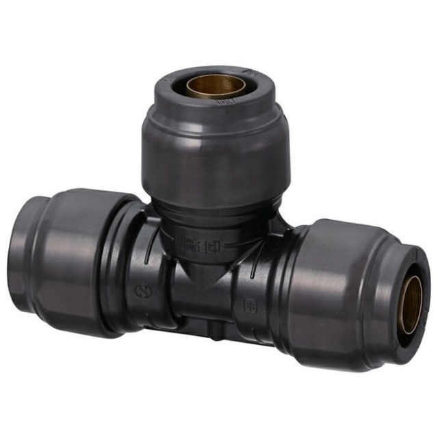 rpt1a-16.jpg