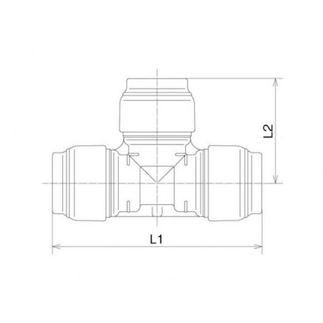 rpt1a-16_1.jpg
