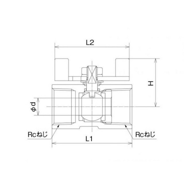 sbfs-t10_1.jpg