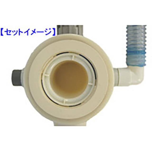 scz7866_2.jpg
