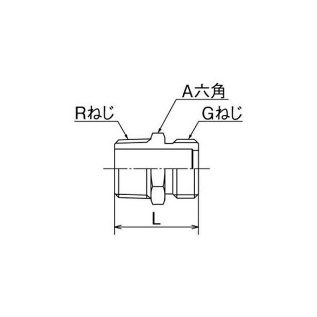 sfg-25_1.jpg