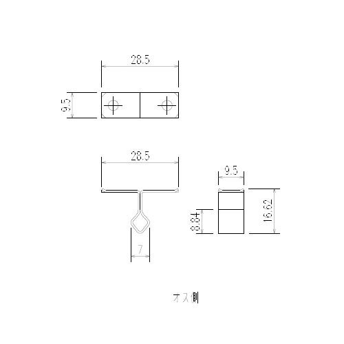 sus-ca_02.jpg
