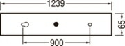 t100187.jpg