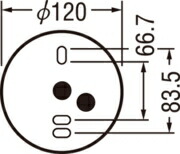 t100984.jpg