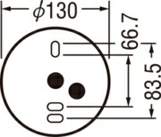 t101095.jpg