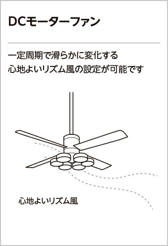 wf091p1_2.jpg
