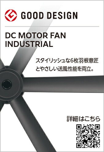wf237p1_4.jpg