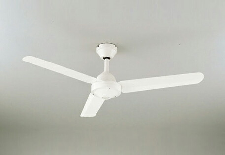 wf402p1_1.jpg