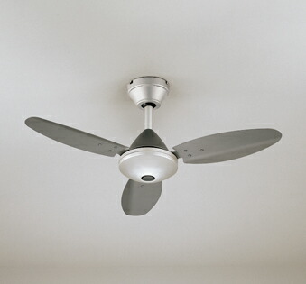 wf505p1_1.jpg