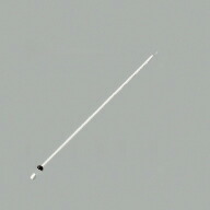 wf614p1_1.jpg