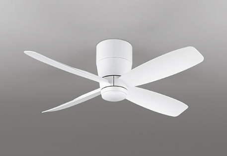 wf810p1_1.jpg