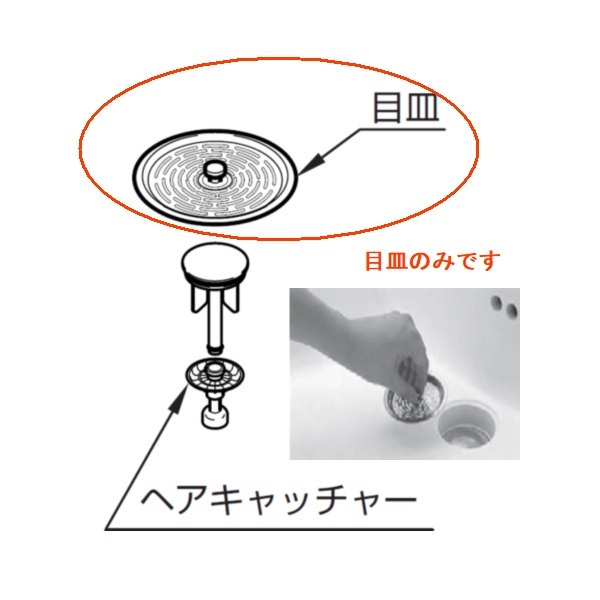 wn87019r.jpg