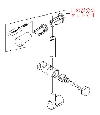 z246n02.jpg