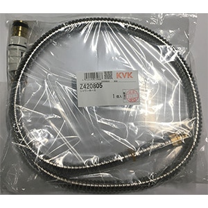 z420805.jpg