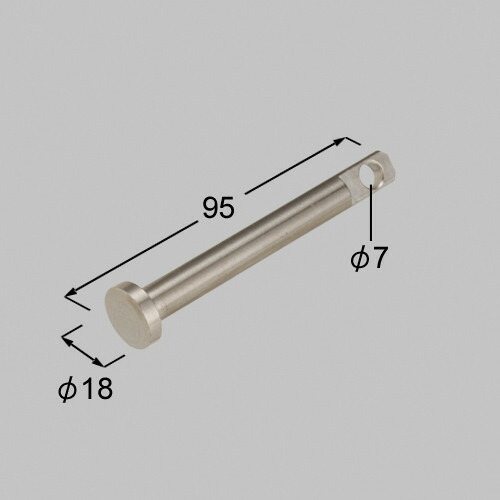 lnf13020a.jpg