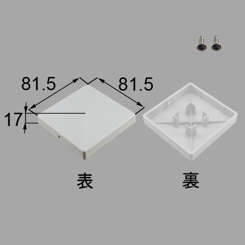 netex00072.jpg