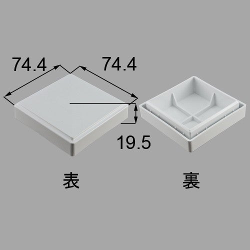 netex00073.jpg