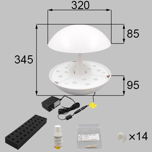 netlv00133.jpg