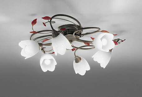 oc257026wr.jpg