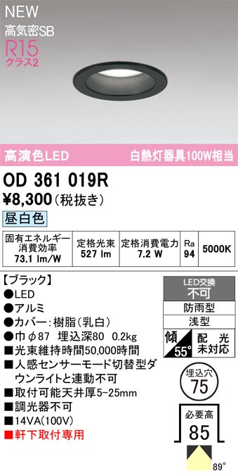 od361019r.jpg