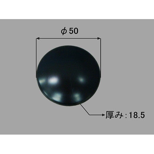 pbf-41-cv.jpg