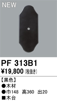 pf313b1.jpg