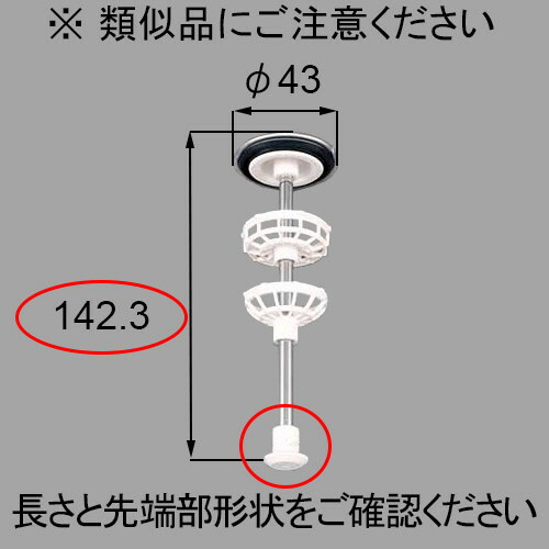 qua25.jpg