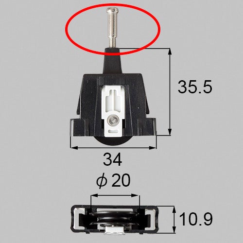 sved81s01.jpg
