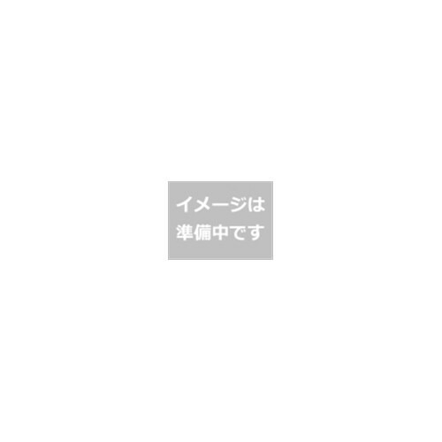tp-a-004.jpg
