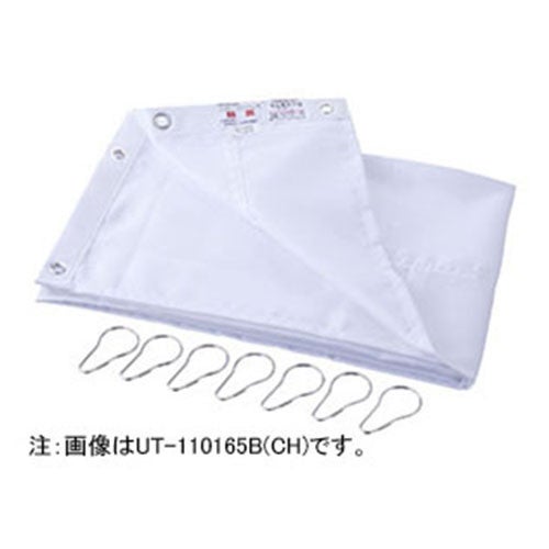 ut-170165b-ch.jpg