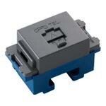 wnt15629h.jpg