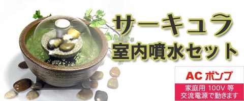 サーキュラ