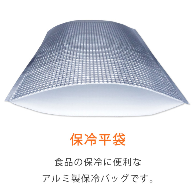 保冷袋　テープ無し手穴無し　平袋