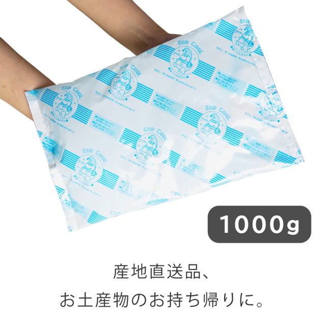 保冷剤　1000g