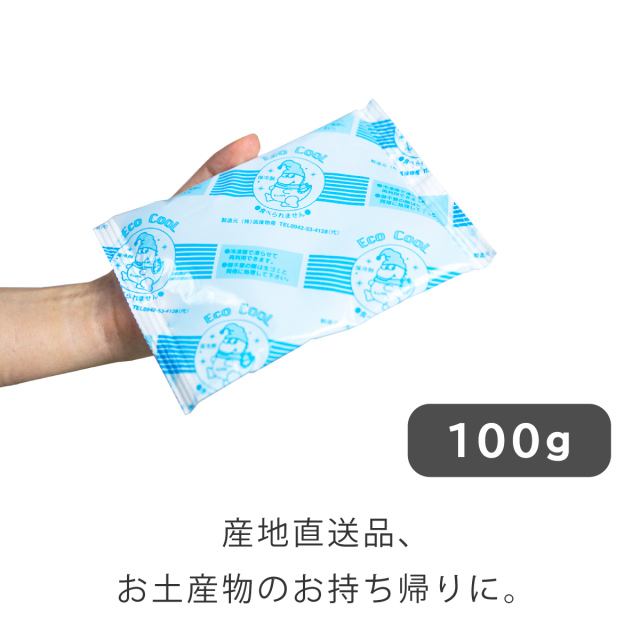 保冷剤 100ｇ