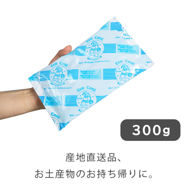 保冷剤 300ｇ