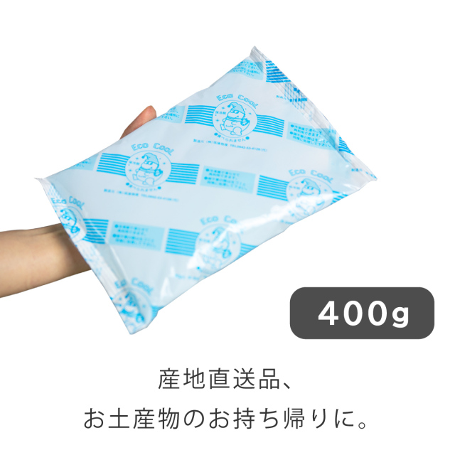 保冷袋 400g
