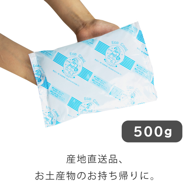 保冷剤　500ｇ
