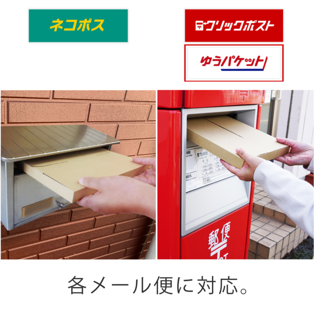 メール便ケース 段ボール A4 厚さ2.5cm ネコポス ゆうパケット
