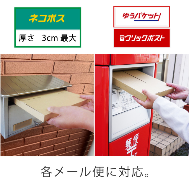 個人フリマ　オークション向け厚さ3cm A4 ネコポス最大メール便ケース