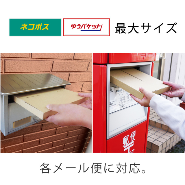 メール便ケース 段ボール A4 厚さ3cm対応 ネコポス ゆうパケット最大