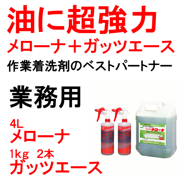 ガッツエース（本体）２本 ＋ メローナ １本のセット 鈴木油脂 ガッツエースセット S-2024