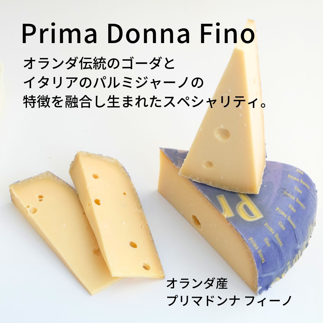 プリマドンナ　フィーノ