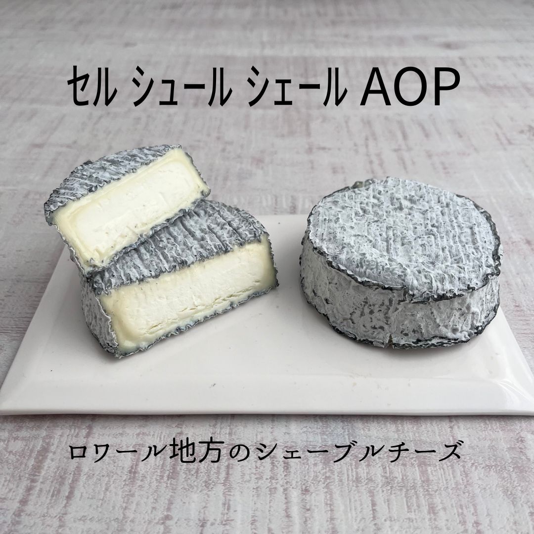ｾﾙ ｼｭｰﾙ ｼｪｰﾙ AOP