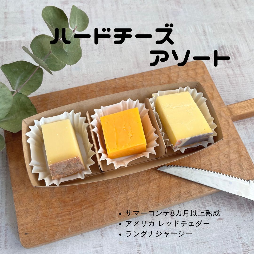 ハード　チーズ　アソート