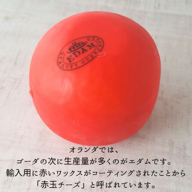エダム（赤玉） | チーズ専門店キャトルフォイユ