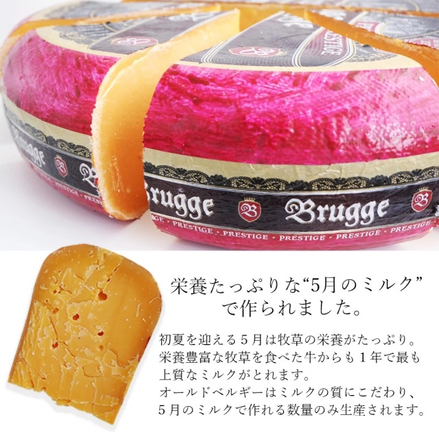 オールドベルギー