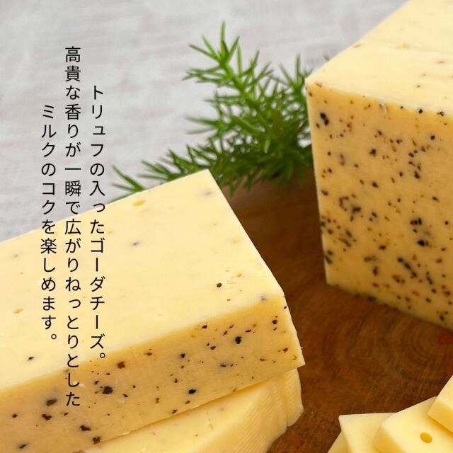 ゴーダ トリュフ　truffle